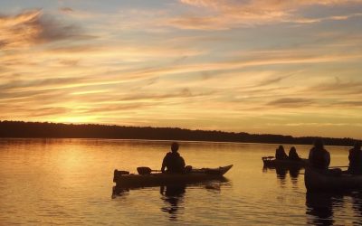 Sunset Paddle Trip on Falls Lake