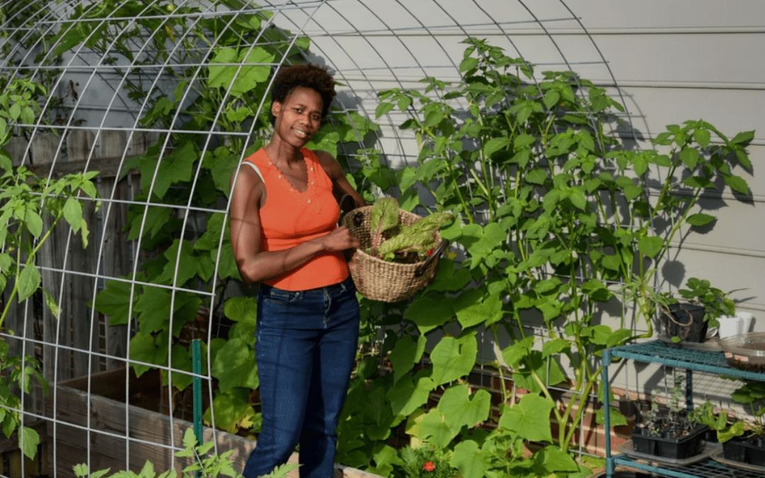 From Seed to Sprout: When & How to Plant