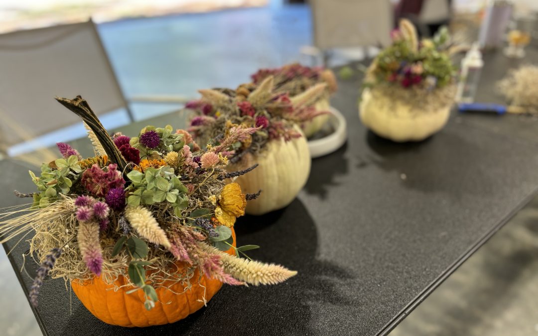 Dried Flower and Pumpkin Workshop at C.F. Farms