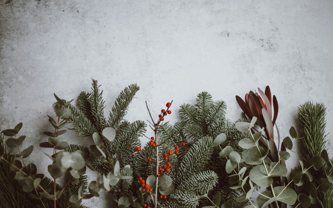 Holiday Wreath Making at Wrenn’s Farm