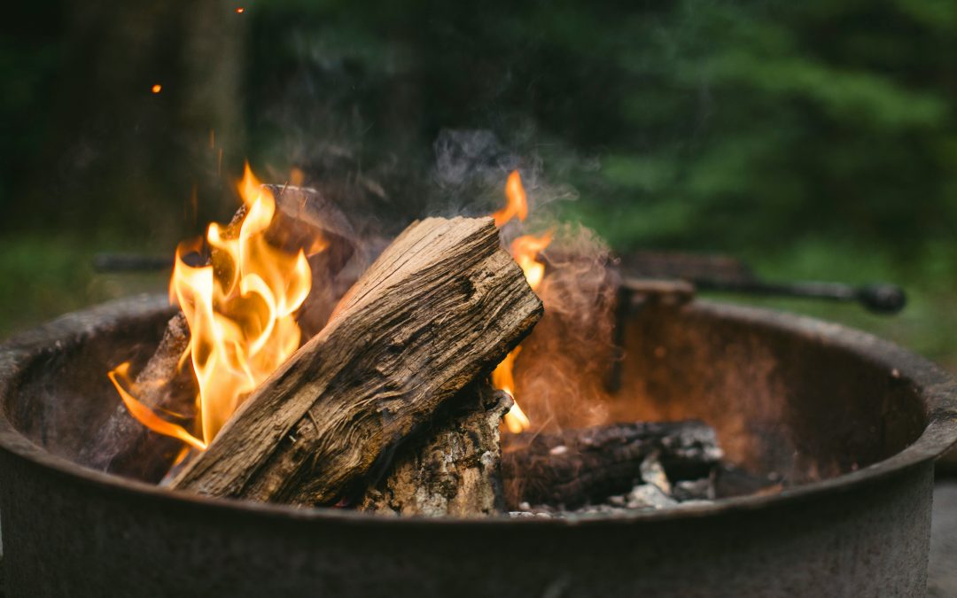 Burning Wood into Gold – A Hands-On Biochar Workshop with Dreaming Stone
