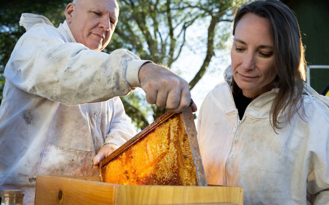 Borrowing Something Sweet – Honey Tasting & Hive Tour